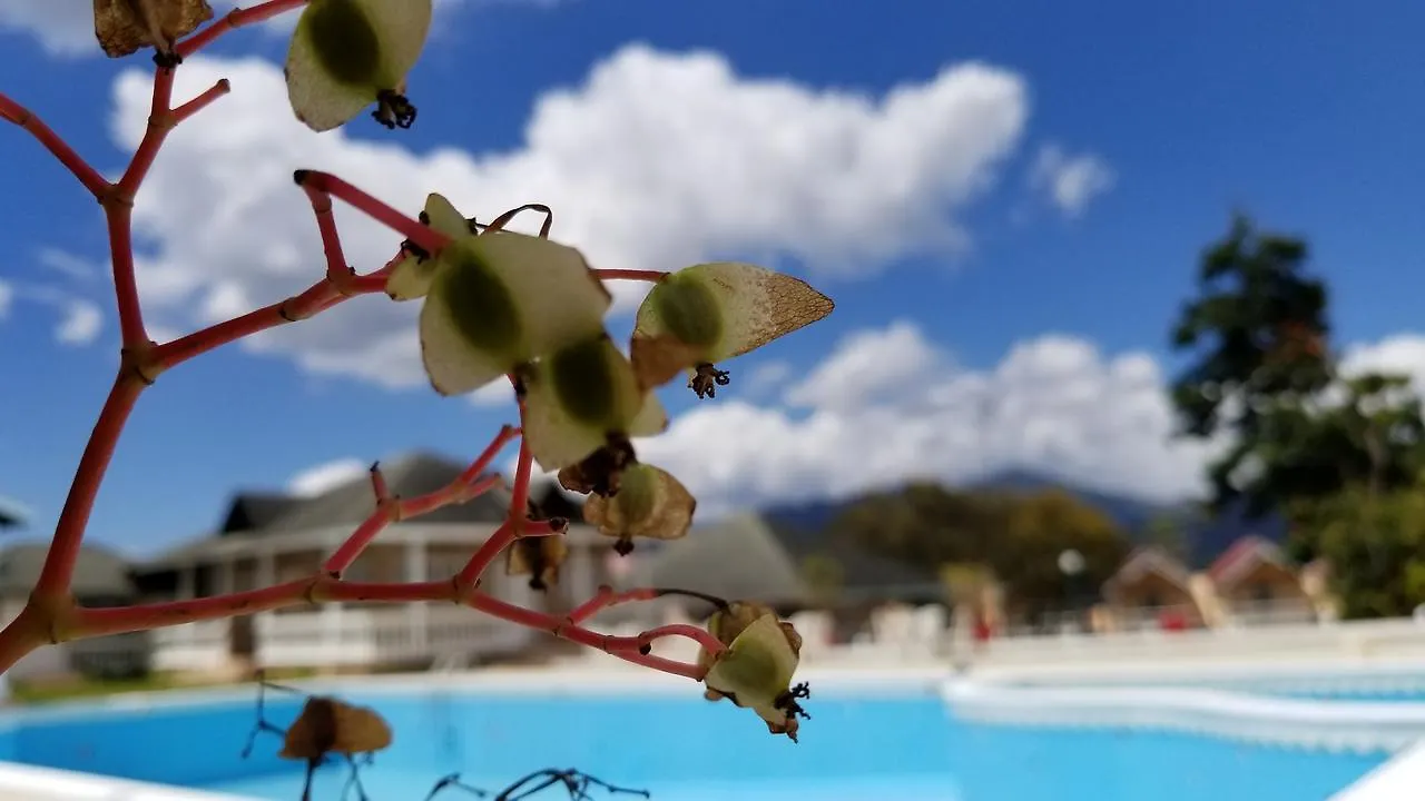 Hotel Constanza Villas & Club